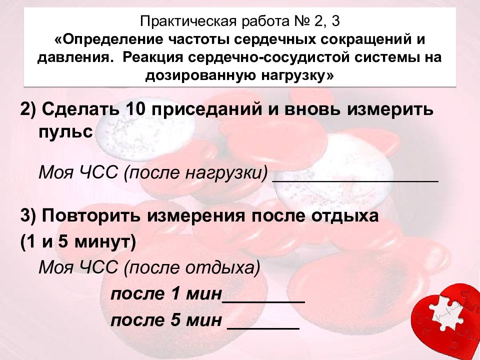 Практическая работа пульс