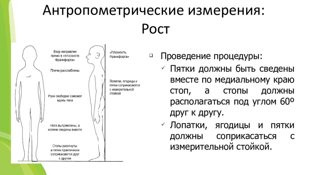 Рост проведений. Схема антропометрических измерений. Антропометрическое антропометрические исследования. Методика антрометричских измерение. Атрометрические методы измерения.