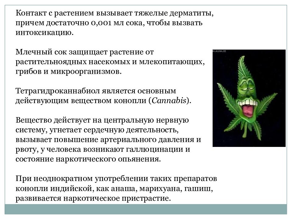 Энергетический обмен у растений. Вторичные метаболиты растений. Действующее вещество марихуаны.