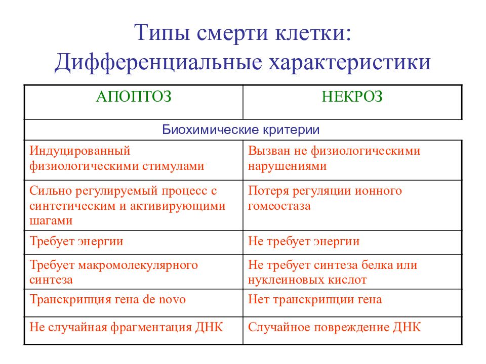 Характеристика вид клеток. Смерть клетки классификация. Типы смерти клетки. Типы некроза клеток. Гибель клетки апоптоз и некроз.