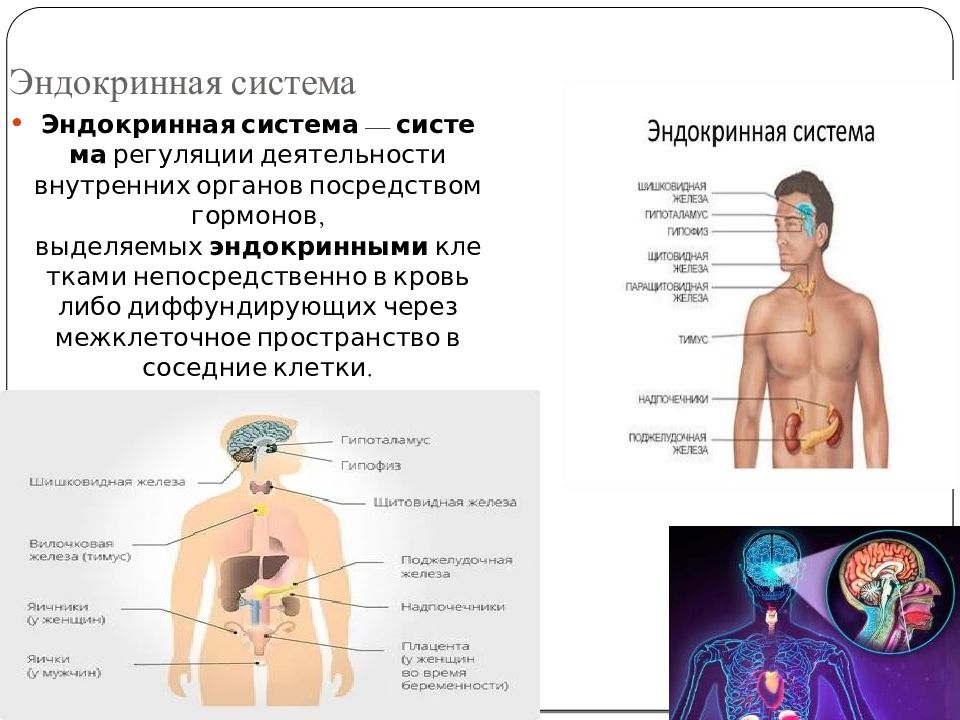 Система воздействия