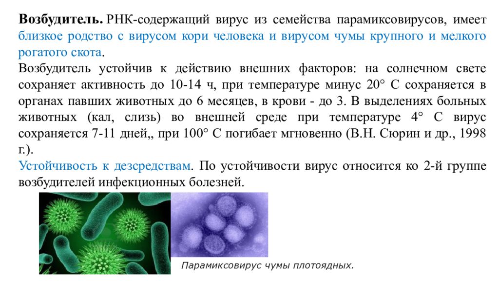 Высококонтагиозные инфекционные заболевания.