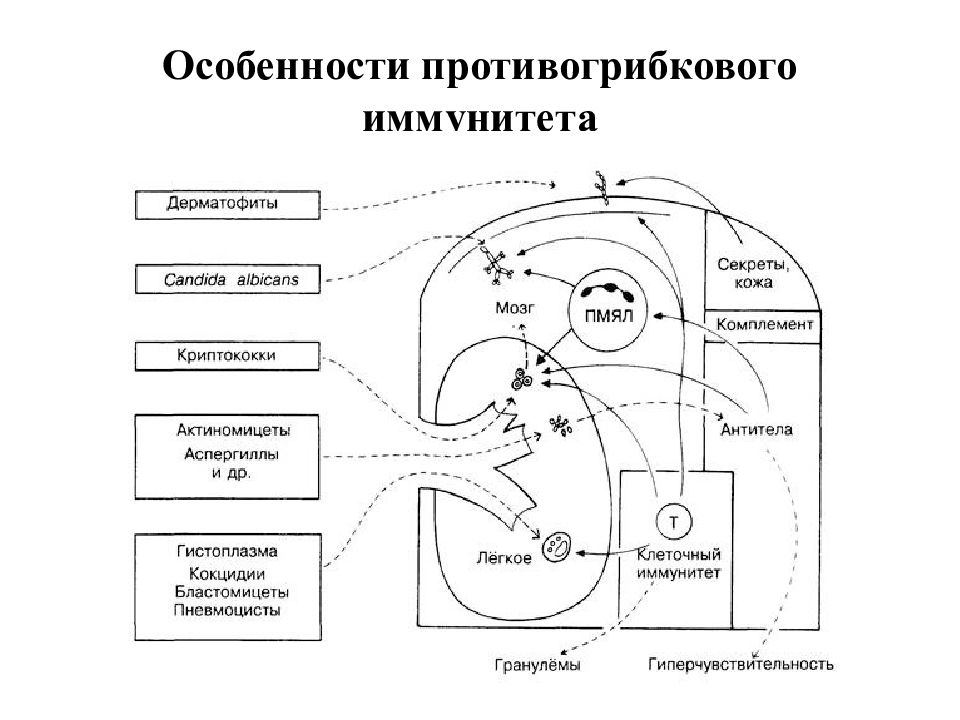 Галерея 1814 схема