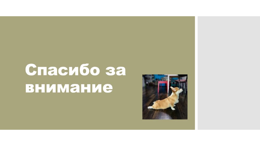 Спасибо за внимание