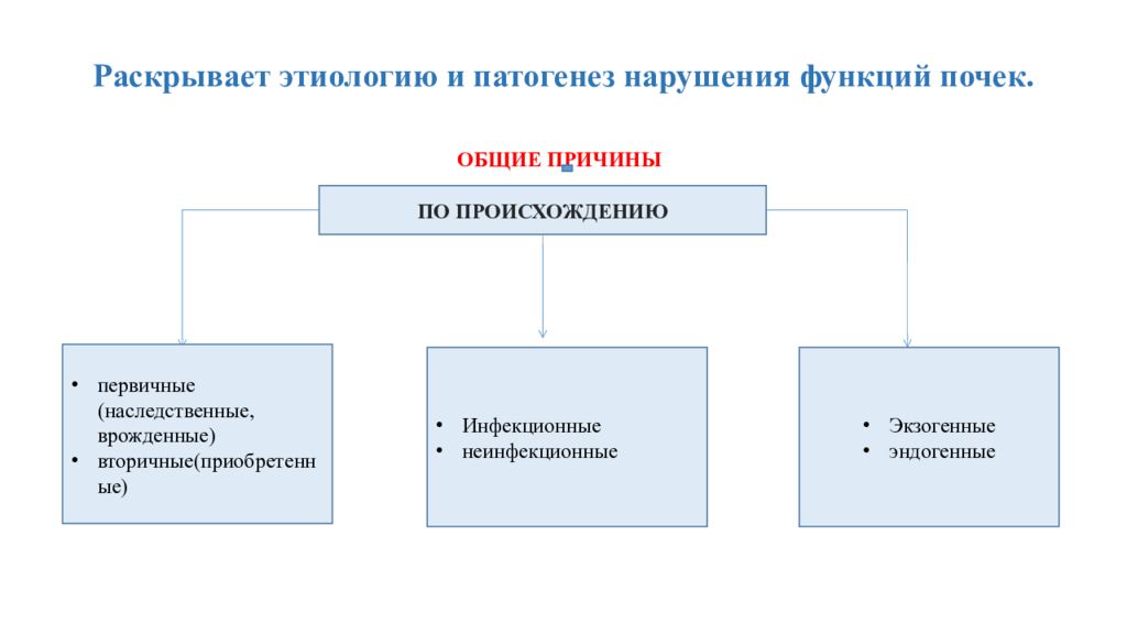 Нарушение функции почек. Патогенез нарушения функции почек. Общая этиология и патогенез расстройств функций почек.. Этиология расстройств функций почек. Общая этиология и патогенез нарушений функций почек..