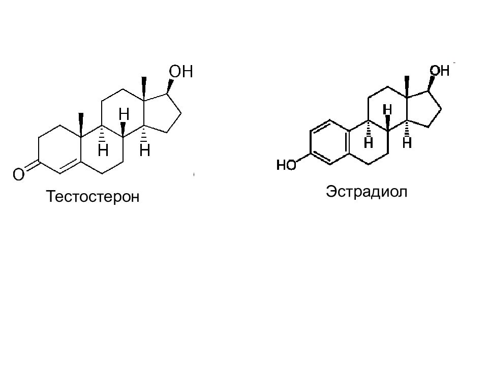 Тестостерон презентация по биохимии
