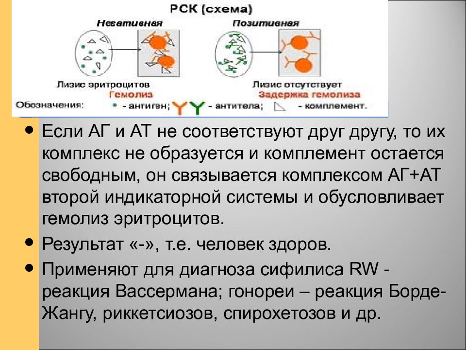 Основные формы иммунного реагирования. Комплекс АГ-АТ это. Образуется комплекс АГ+АТ.. Презентация на тему : основные формы иммунного реагирования.. Комплекс АГ АТ формируется.