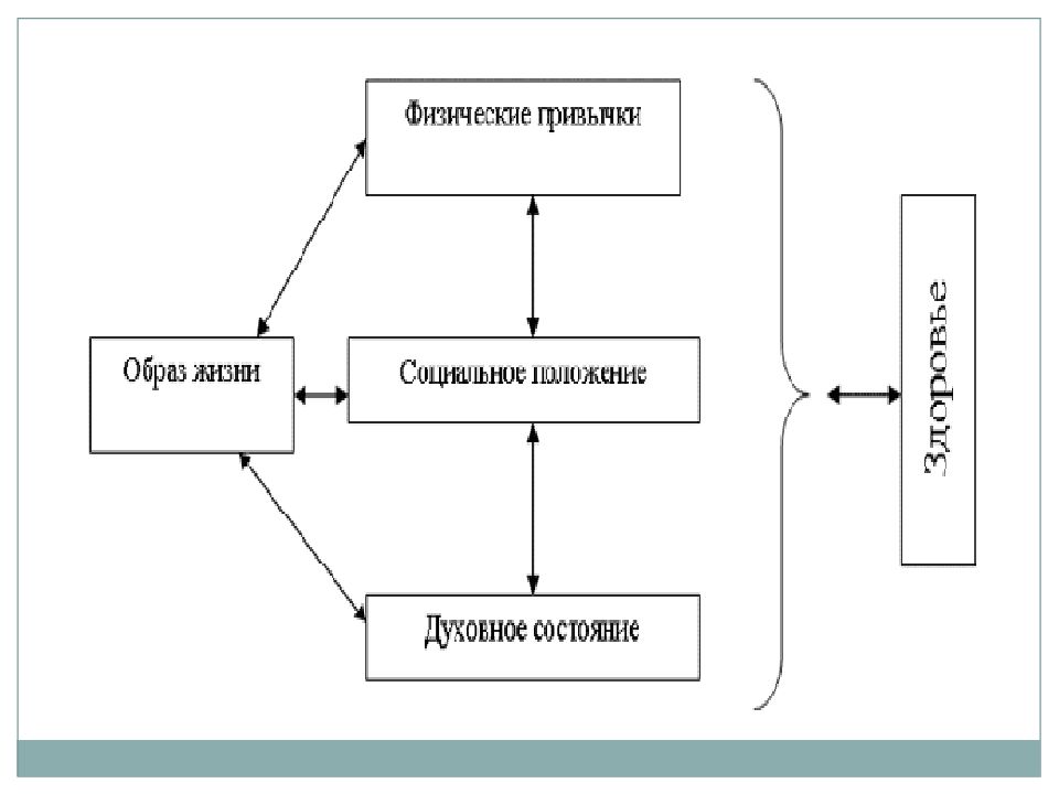 Наука о здоровье