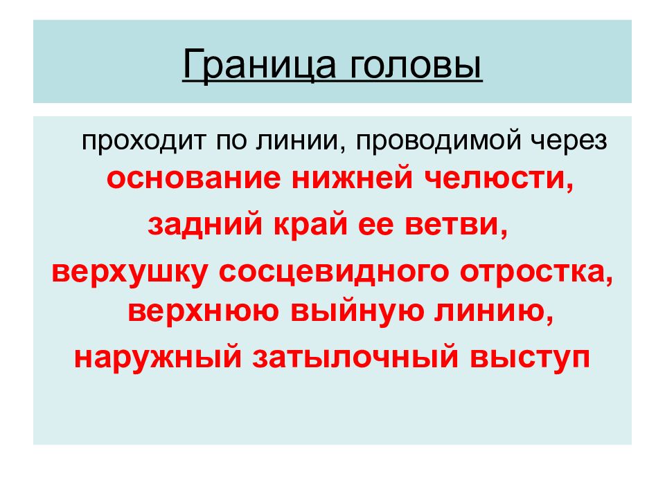 Голова прошла. Границы в голове. Граница головы проходит через.