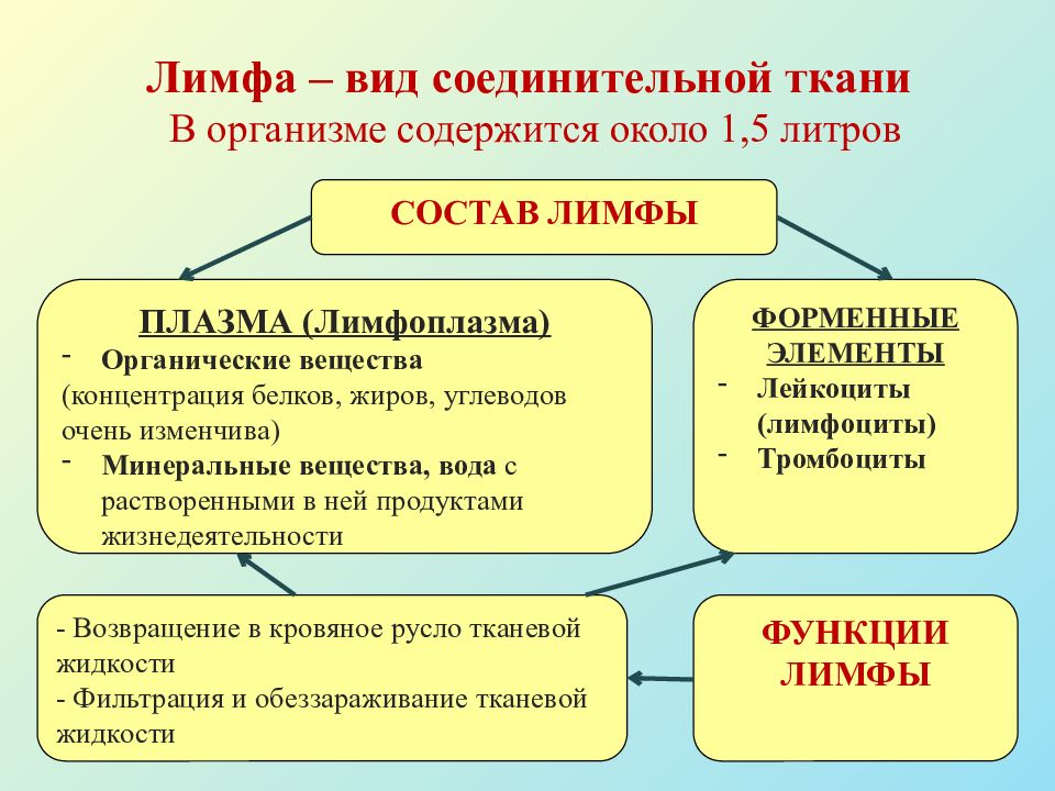 Какие вещества отсутствуют в организме. Состав лимфы таблица. Лимфа состав и функции. Состав лимфы человека. Образование и состав лимфы.