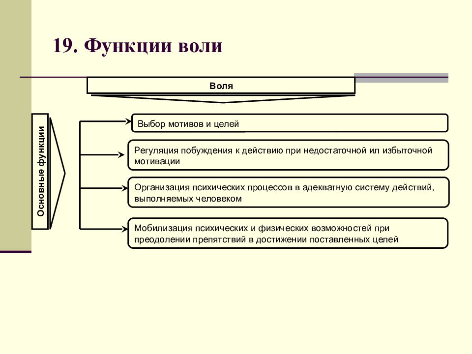 Характеристика воли человека