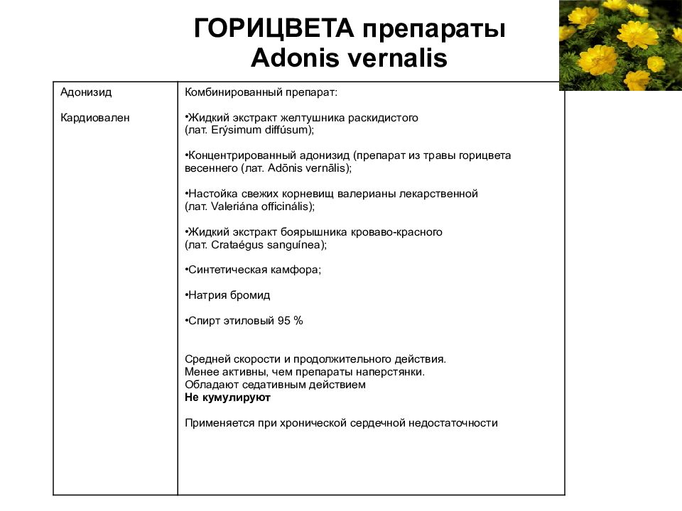Источник целанида является сырье. Трава горицвета препараты. горицвет весенний препараты. препарат горицвета в виде настоя. источником целанида является сырье растения.