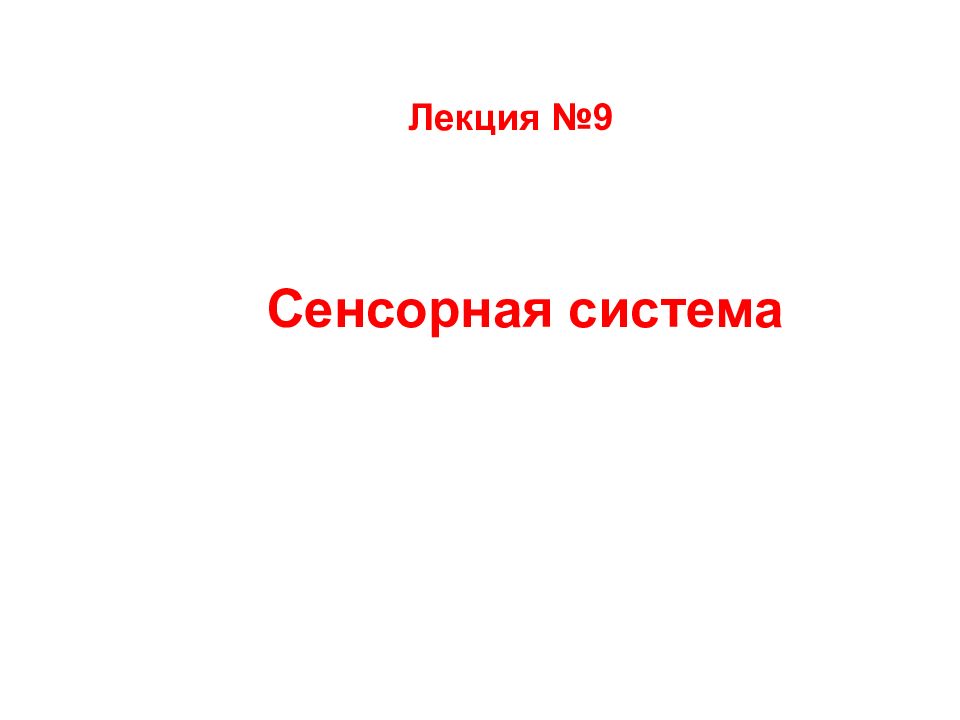 Лекция №9 Сенсорная система