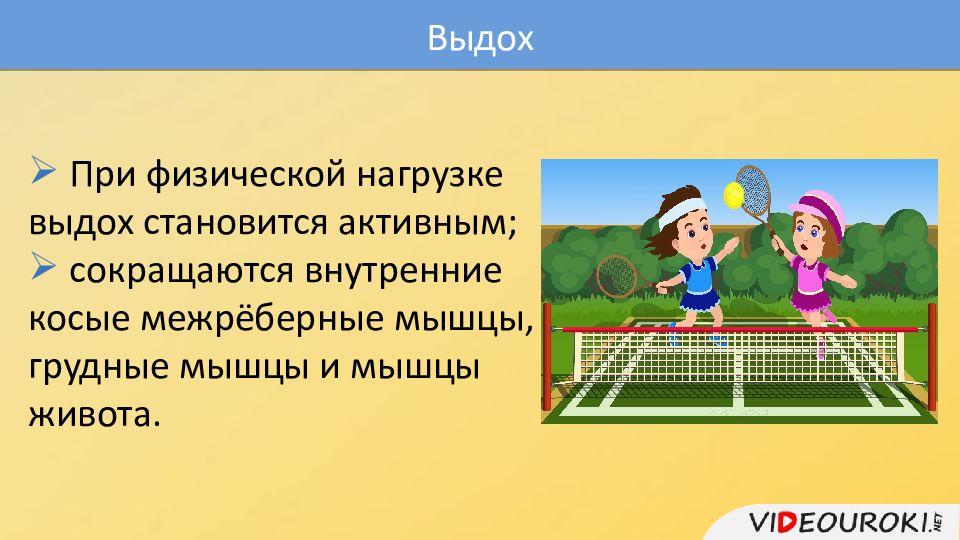 Стал активнее. Физическая культура. Понятие физическая культура. Физическая культура это определение. Физкультура это определение.