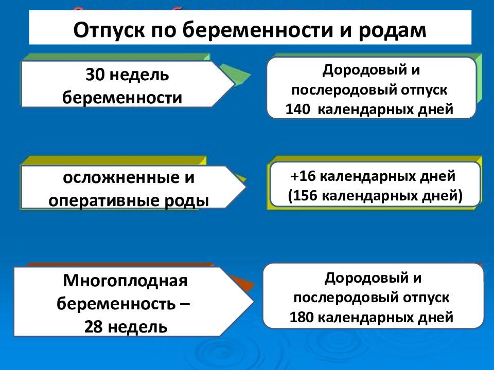 Структура женской консультации схема