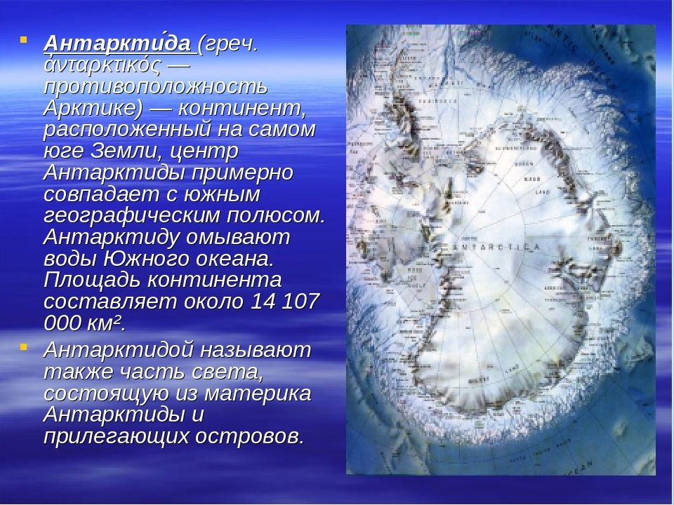 В каких широтах расположена антарктида. Географическое положение Антарктиды. Антарктида (материк). Сведения об Антарктиде. Арктика Антарктика Антарктида.