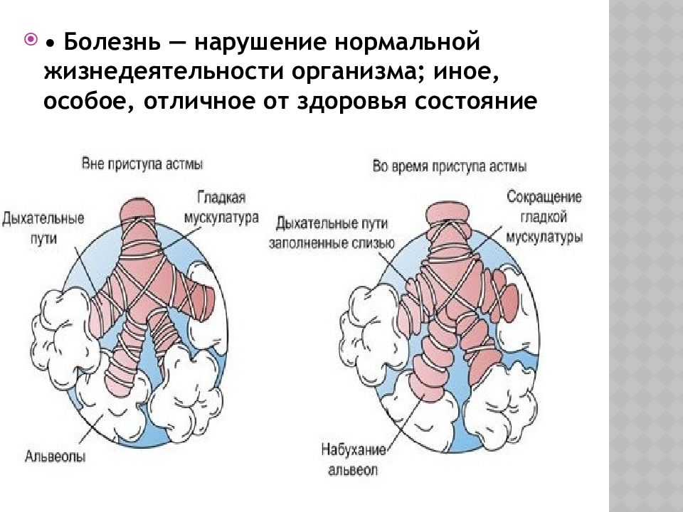 Некоторых болезнях. Нарушение нормальной жизнедеятельности организма. Понятие болезнь. Болезнь это нарушение нормальной жизнедеятельности организма.