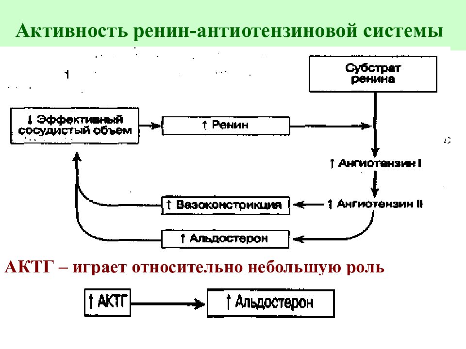 Актг норма у женщин. АКТГ И альдостерон. Соотношение АКТГ И кортизола. АКТГ система. Регуляция АКТГ.