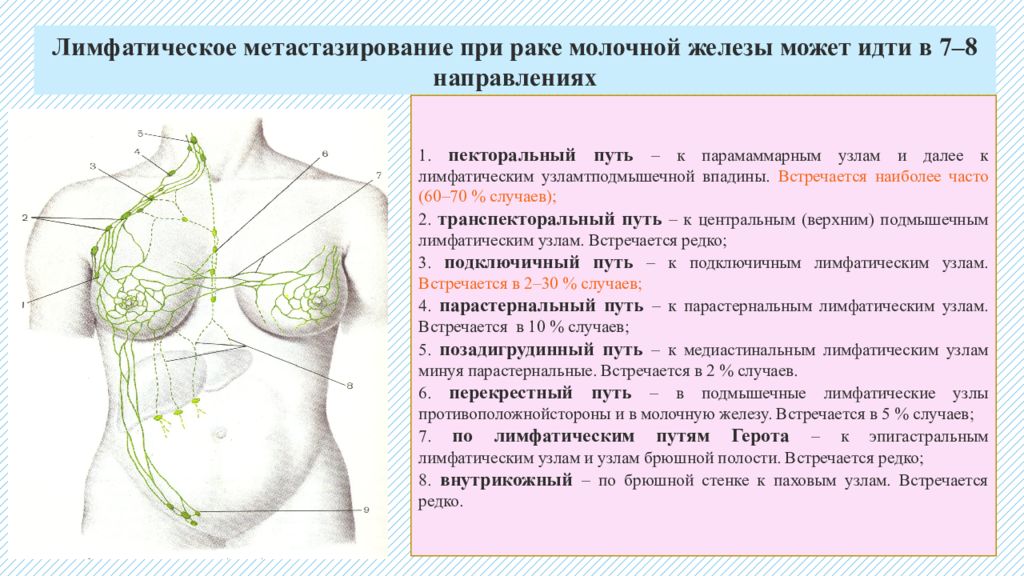 Норма лимфоузлов подмышками