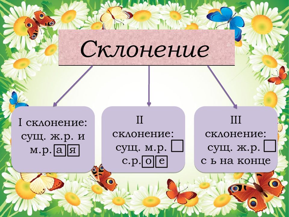 Склонения 3 класс. Склонение существительного курицы. Просклонять существительное курица. Концовки склонение. Тишью 3 склонение.