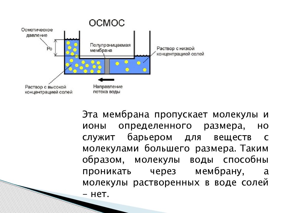 Процессы мембраны. Процесс в мембране. Методы разделения мембран. Мембранные процессы примеры. , Внедрение мембранной технологии.