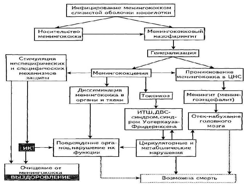 Клиническая картина менингококковой инфекции