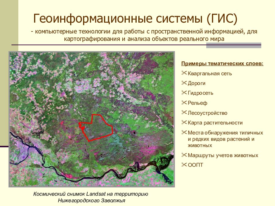 Керженский заповедник презентация