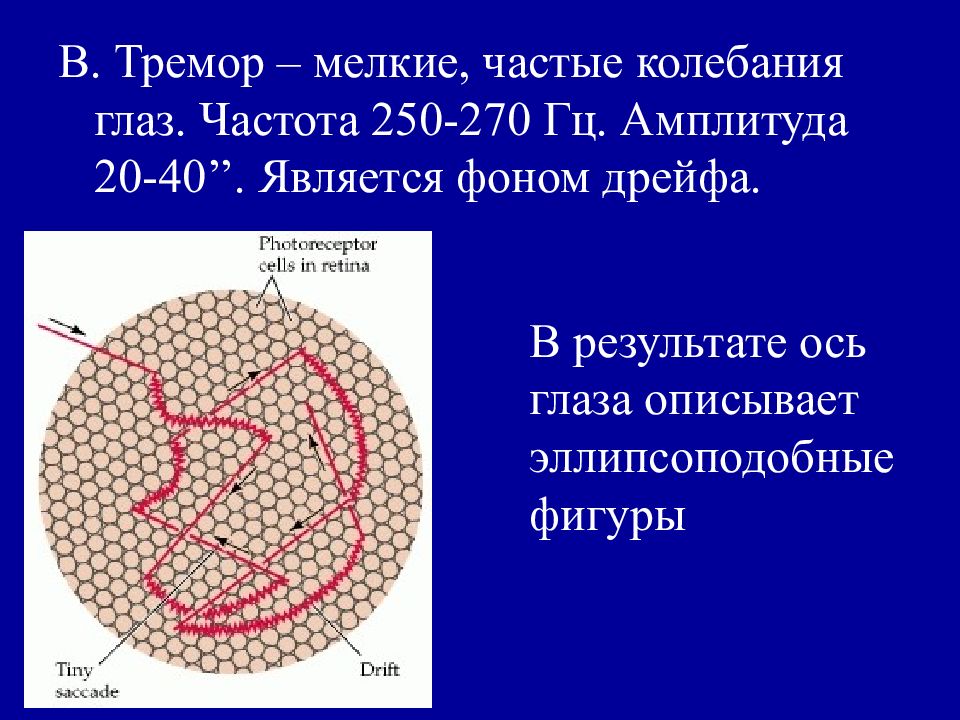 Частота глаза. Частота колебания глаз. Произвольное колебание глаз это. Эллипсоподобная.