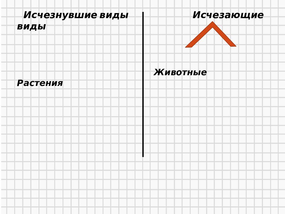 Рисунок важность охраны живого мира