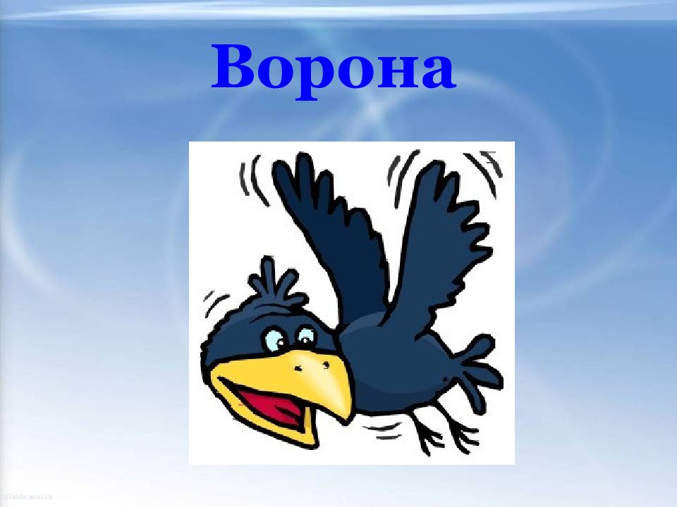 Презентация ворона. Слово ворона. Слайды для презентации ворона. Сообщение о вороне. Конспект 1 класс ворона интеллектуальная птица.