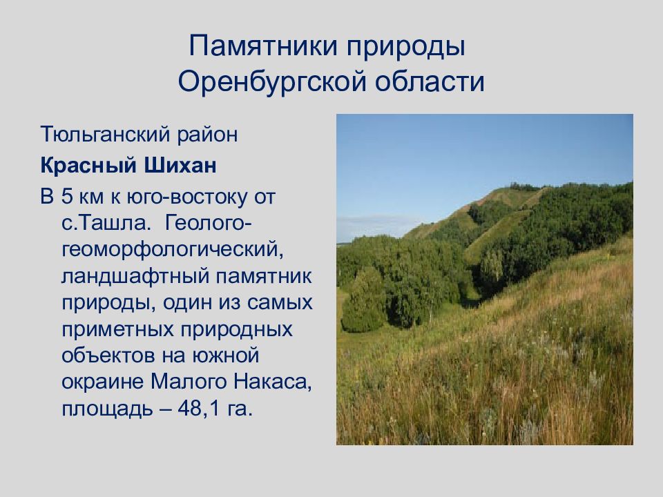 Сообщение о памятнике природы. Презентация памятники природы Оренбургского района. Памятники природы Оренбургской области презентация. Природные объекты Тюльганского района Оренбургской области. Красный Шихан памятник природы Тюльганского района.