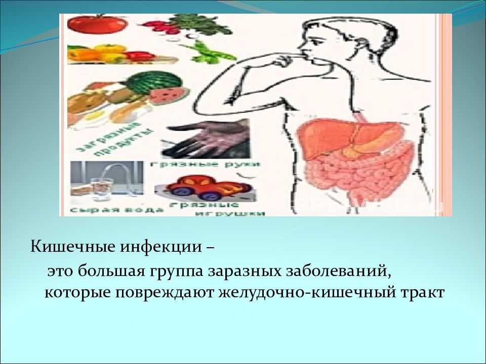 Желудочно кишечные заболевания и их профилактика презентация