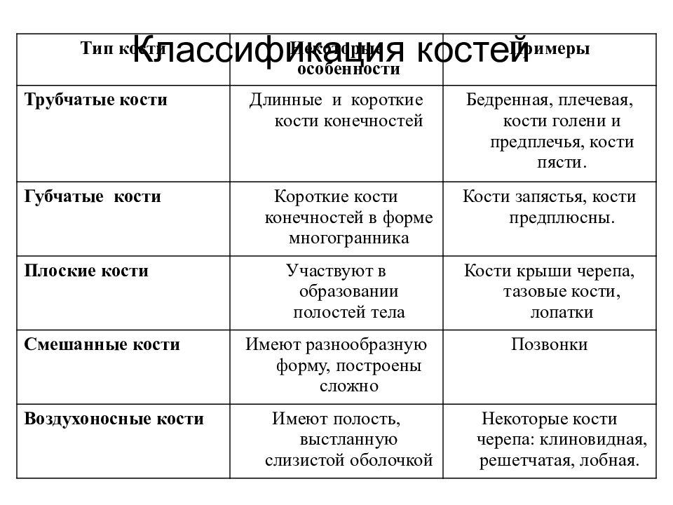 Таблица костей. Типы костей таблица. Трубчатые губчатые плоские кости таблица. Заполните таблицу трубчатые губчатые плоские. Классификация костей человека таблица 8 класс.