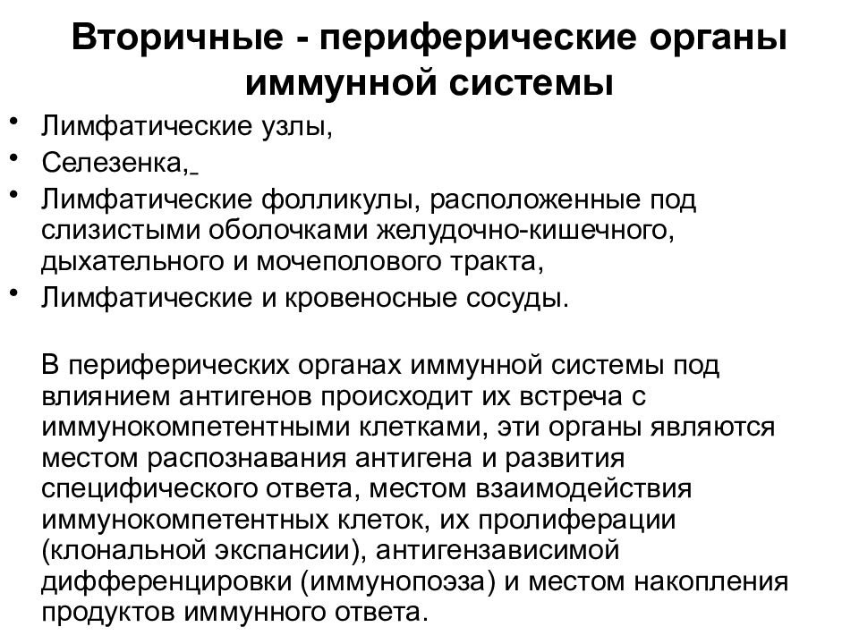 Периферические органы иммунной системы. Строение иммунной системы микробиология. Учение об иммунитете иммунная система. Иммунитет ученые. Вторичные (периферические)органы иммунной системы.