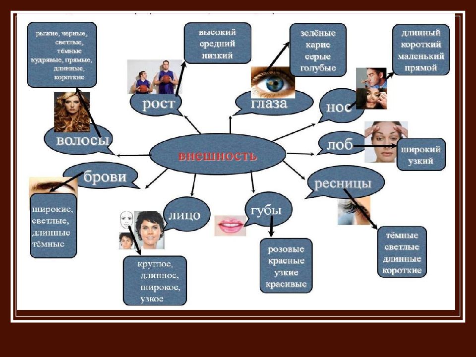 Описание внешности человека мамы 6 класс. Описание внешности человека. Внешность человека схема. Качества внешности человека. Как можно описать внешность человека.