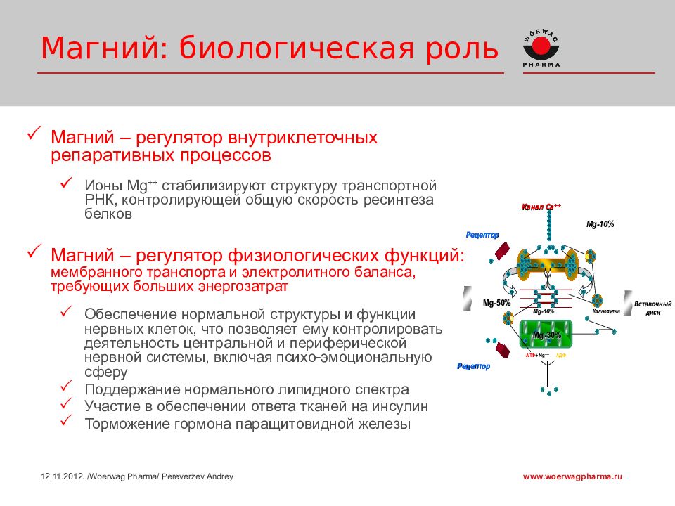 Как магний влияет на организм