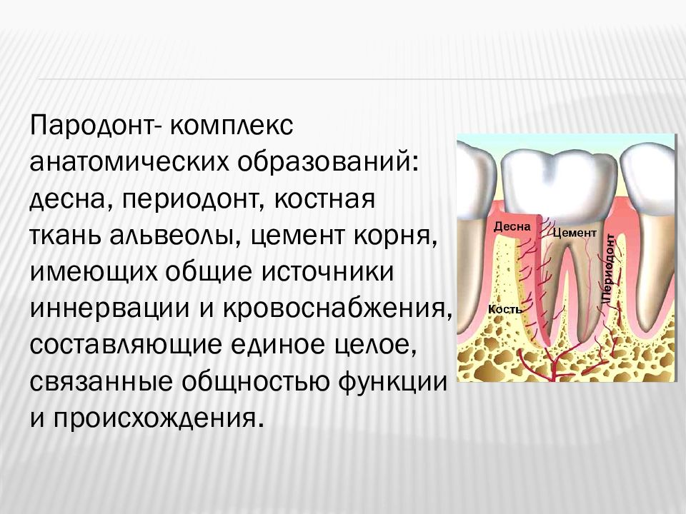 Этиология и патогенез заболеваний пародонта презентация