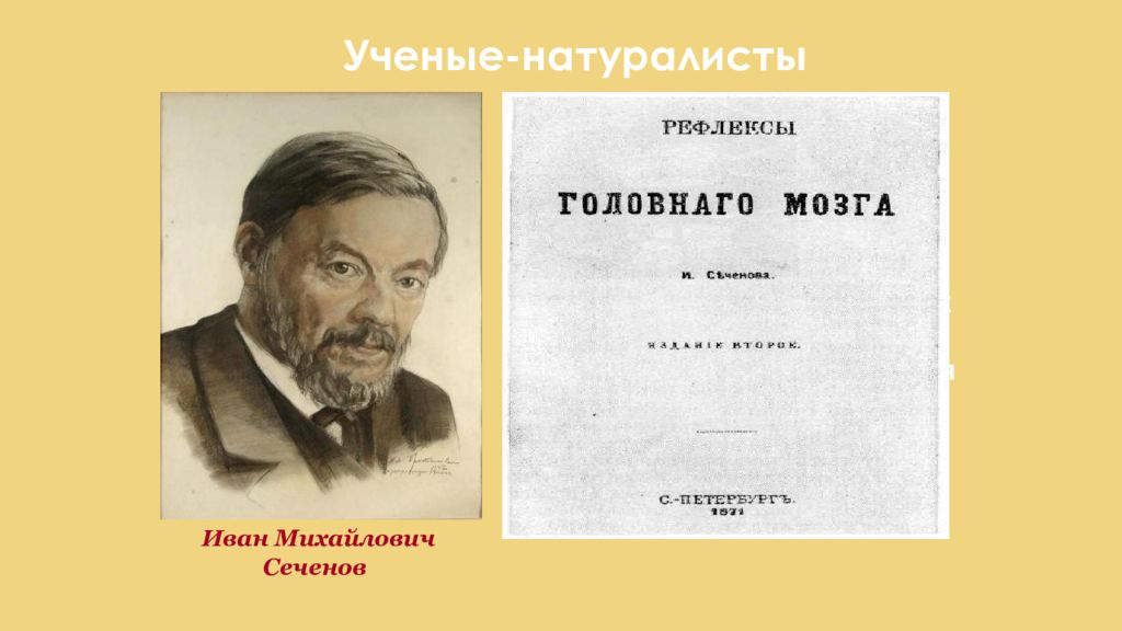 Рефлексы Головного Мозга Книга Сеченов Купить