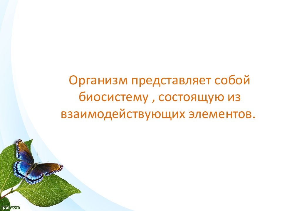 Живой организм представляет собой ответ. Живой организм представляет собой. Биосистема. Ppt организм как биосистема 10 класс биология. Ласточка открытая биосистема.