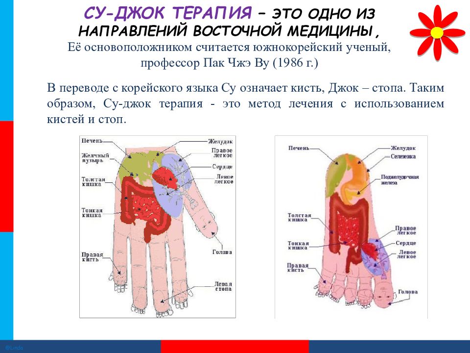 Картинки су джок терапия в детском саду