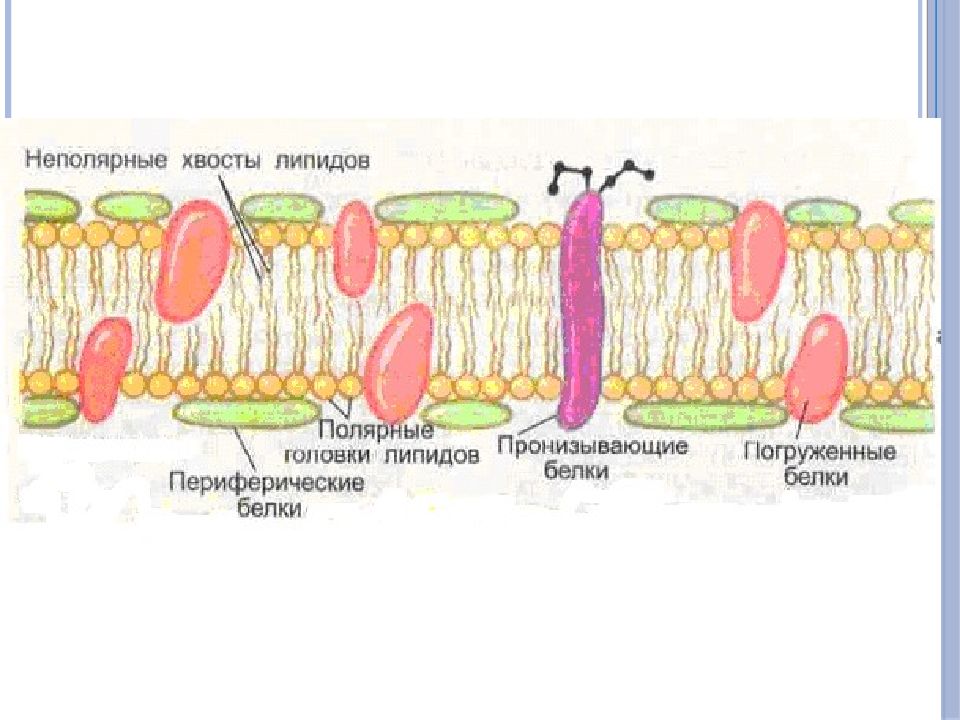 Школа цпм карта