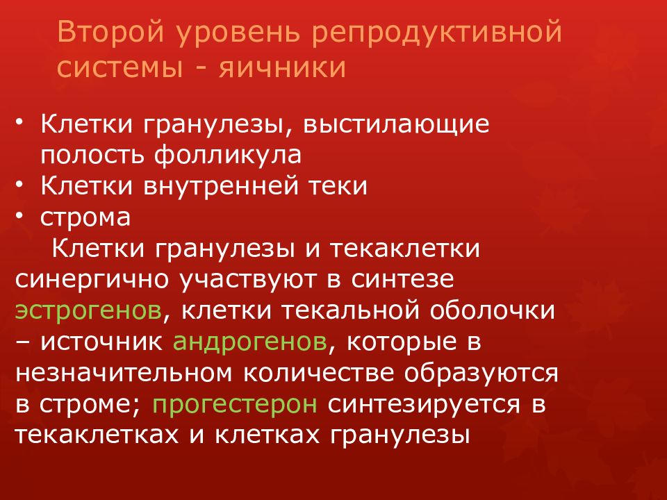 Гранулез. Уровни репродуктивной системы. Уровни организации репродуктивной системы. Уровни женской репродуктивной системы. Ко второму уровню репродуктивной системы относят.