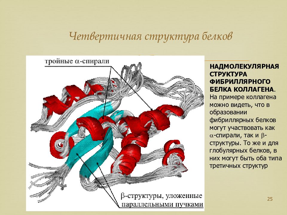 Аминокислоты и белки презентация