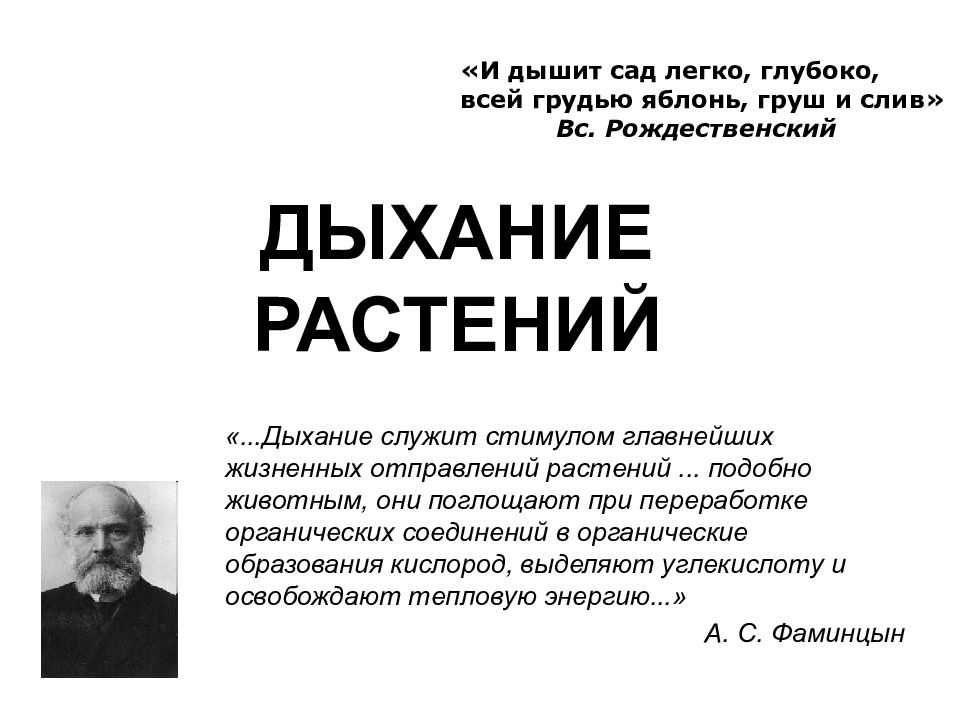 Главным стимулом управляющим дыханием служит. Дыхание растений.