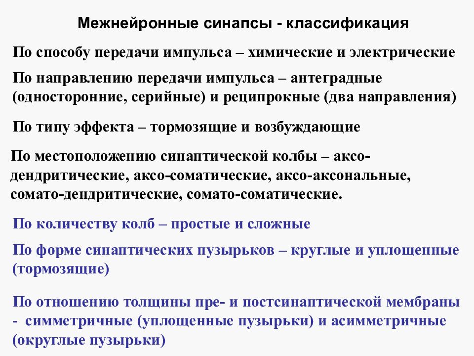 Классификация межнейронных синапсов