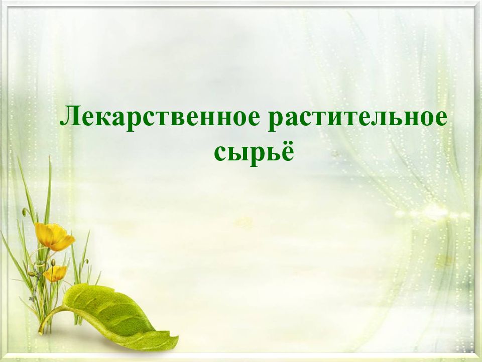 Лекарственное растительное сырьё