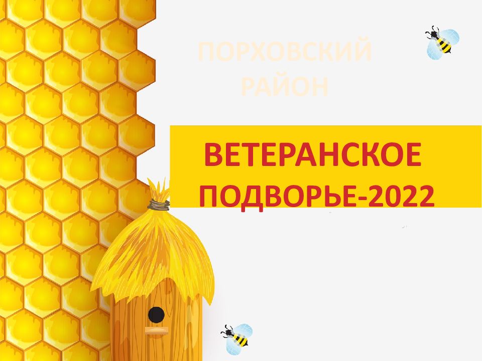 ВЕТЕРАНСКОЕ ПОДВОРЬЕ-2022