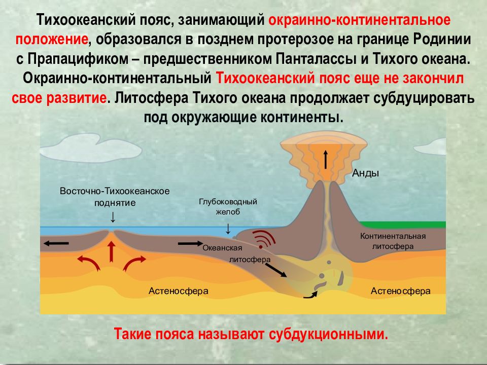 Континентальная х. Платформы и геосинклинали. Строение континентальных платформ. Материковые платформы. Тихоокеанский геосинклинальный пояс.