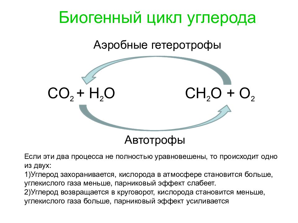 Углерод легче кислорода. Биогенный цикл углерода. Биохимический цикл углерода. Биогеохимический круговорот углерода. Цикличность углерода.