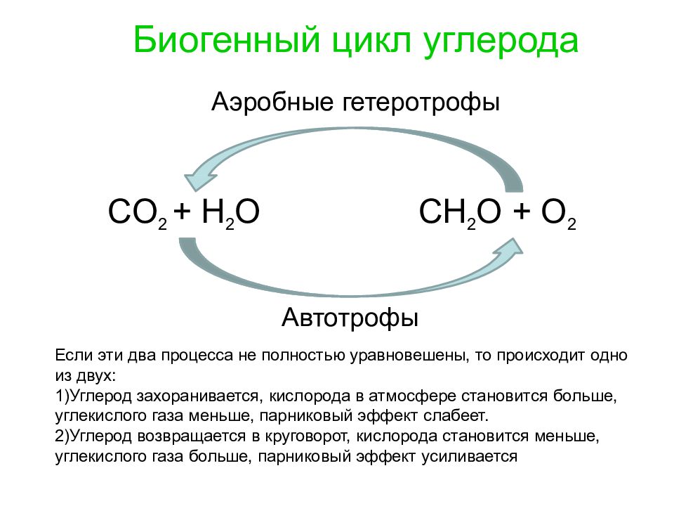 Углерод и вода. Биогенный цикл углерода. Биогенный круговорот углерода. Основные процессы в цикле углерода:. Углерод биогенный элемент.